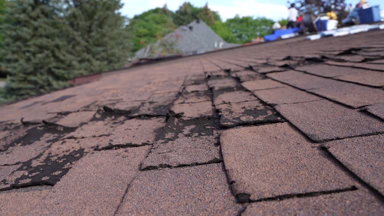  Concord, CA Roofing Service Pros