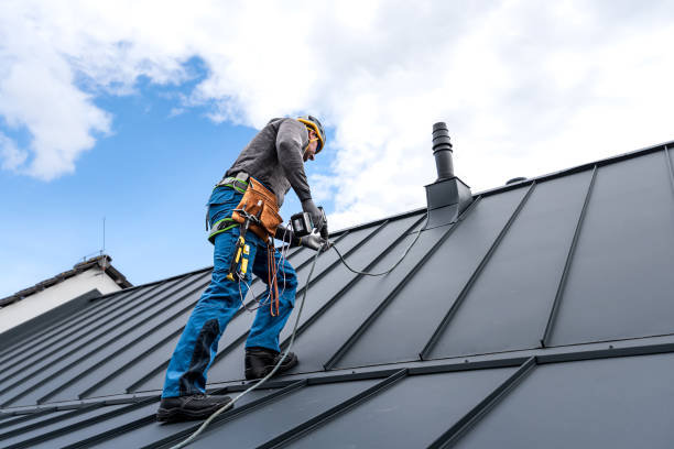 Best Roof Moss and Algae Removal  in Concord, CA